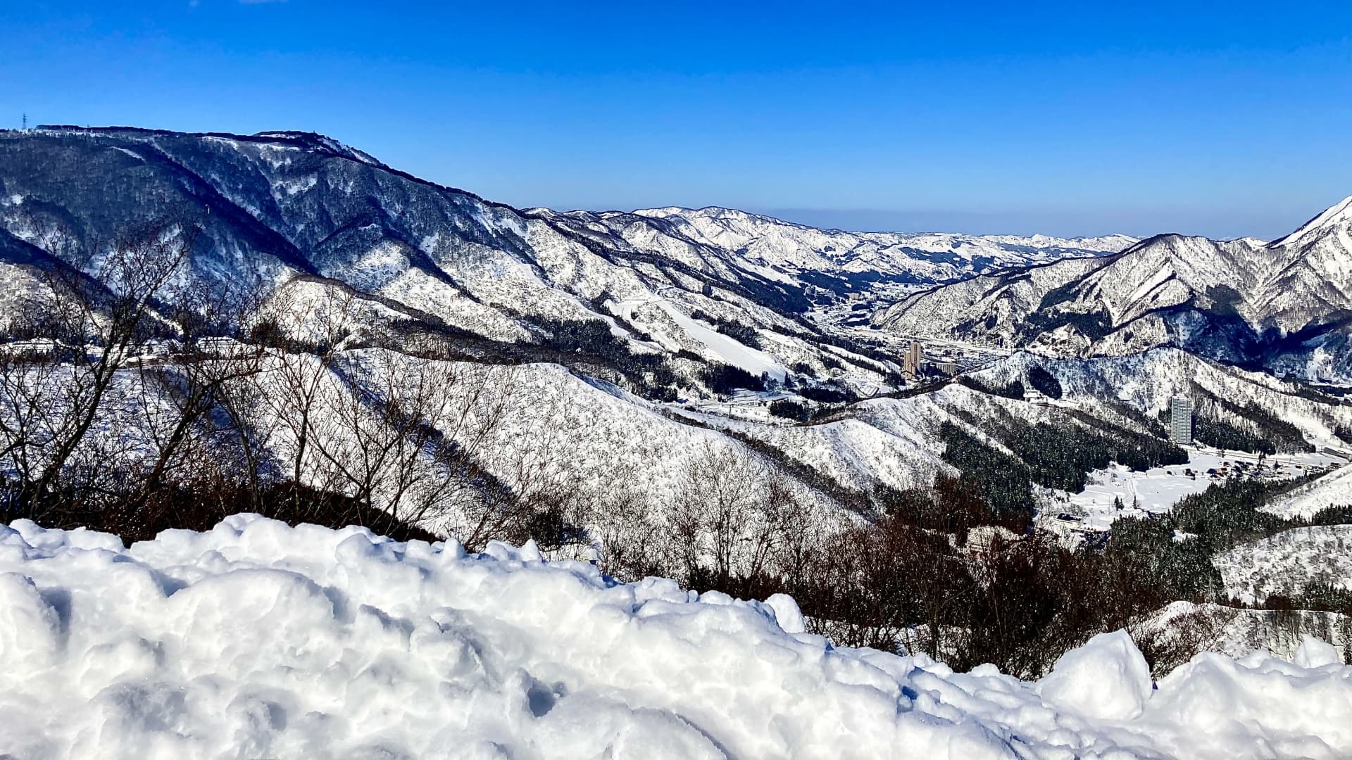 雪化粧された山の景色