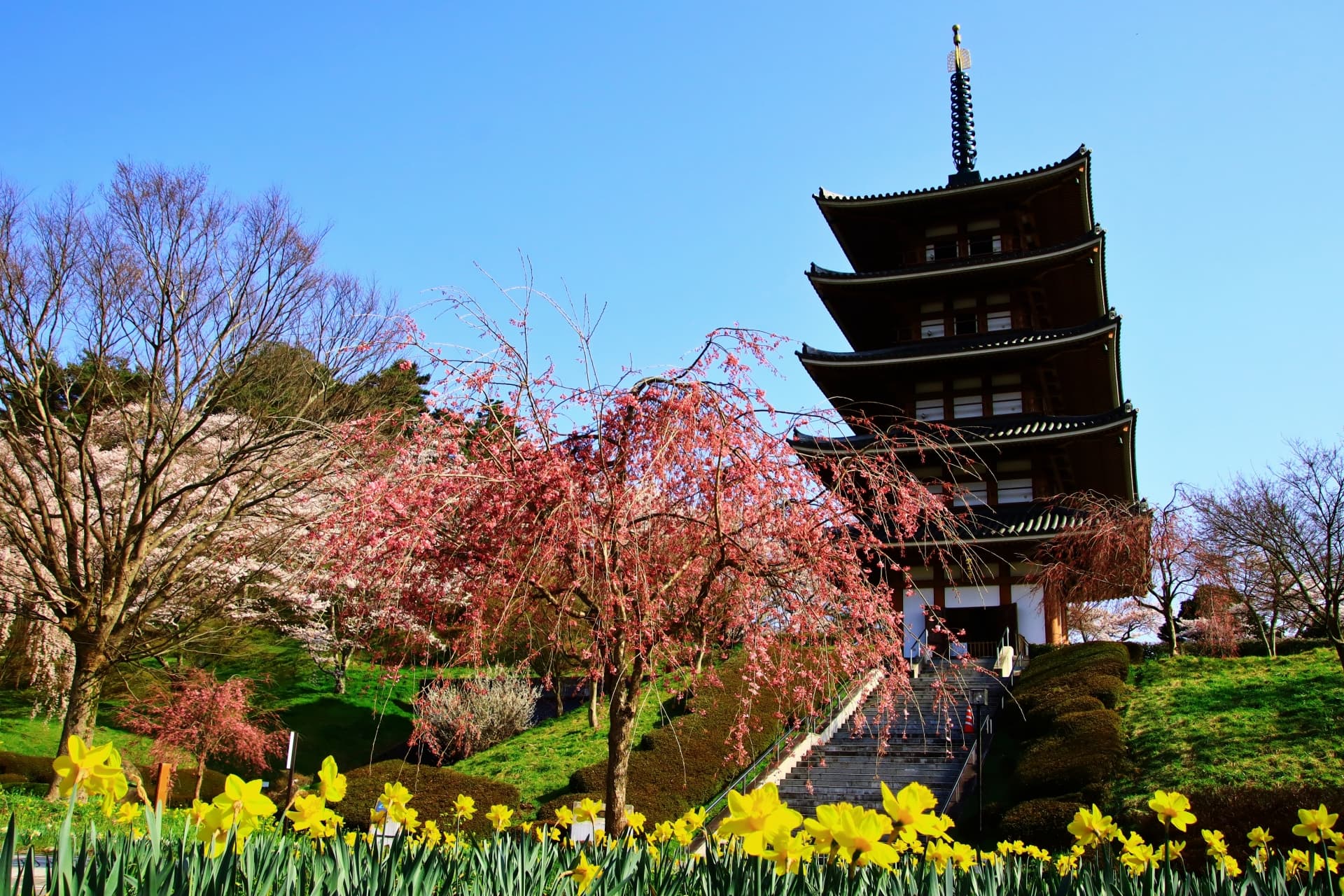 日本の伝統を感じる京都