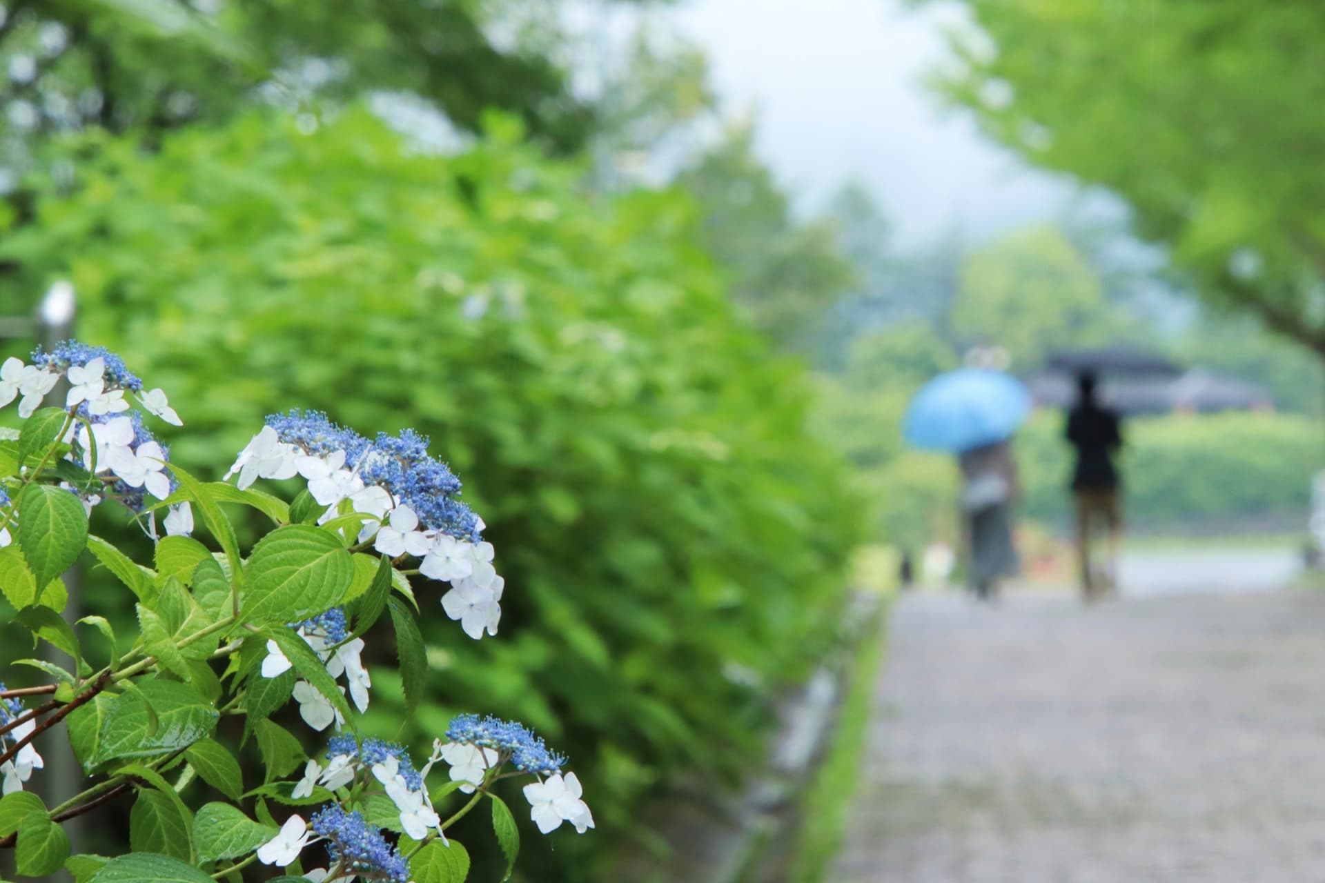 50代だからこそ楽しみたい夫婦だけの非日常を