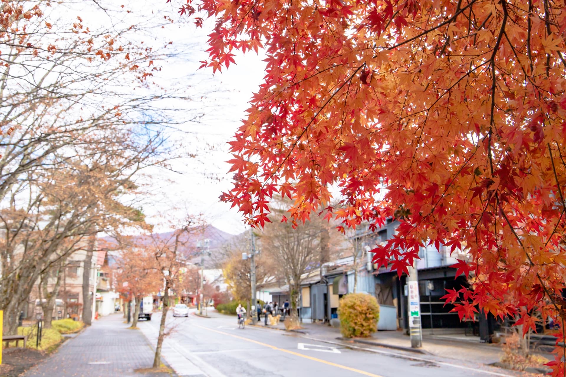 紅葉のkaruizawa