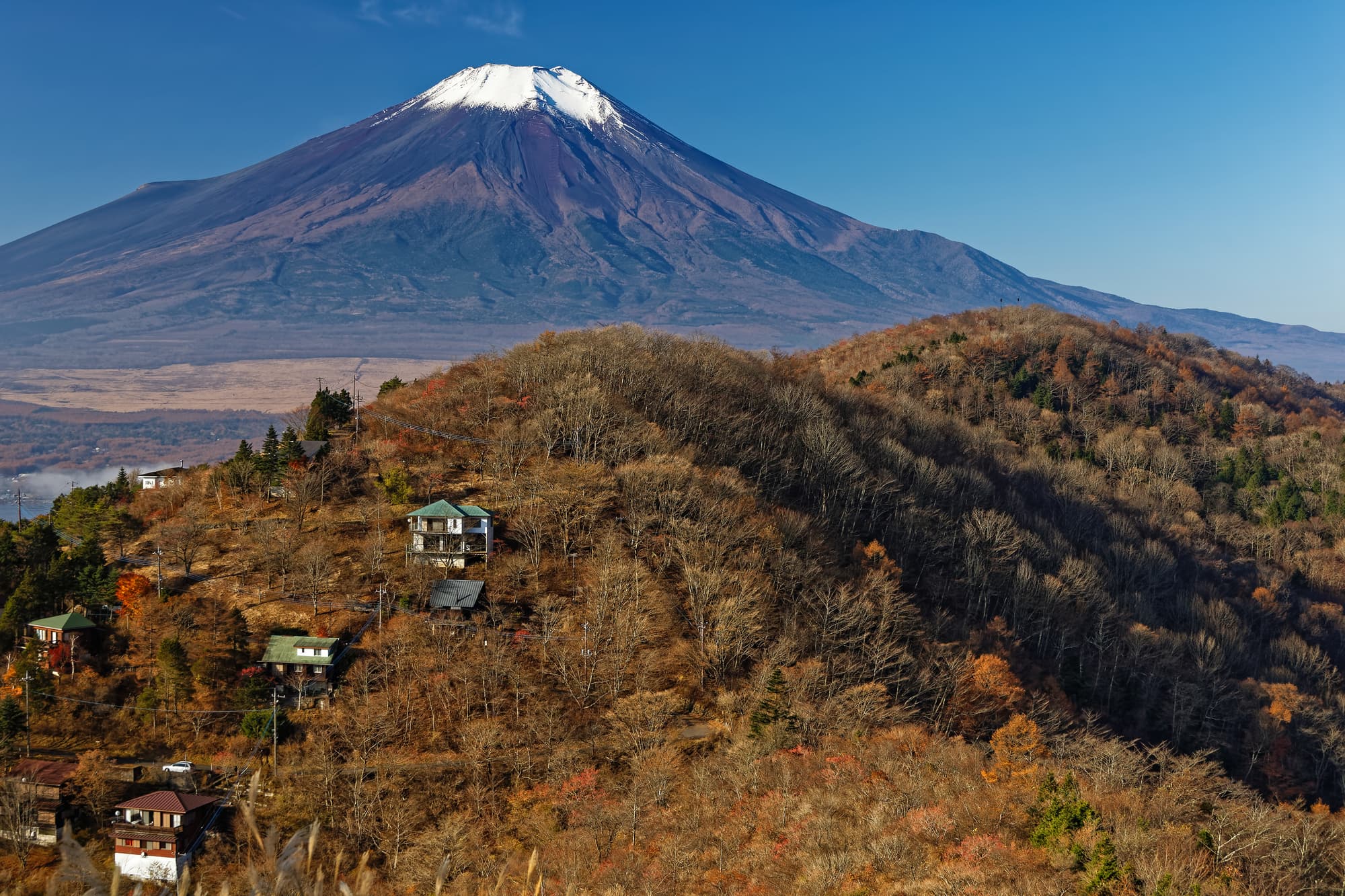 富士山