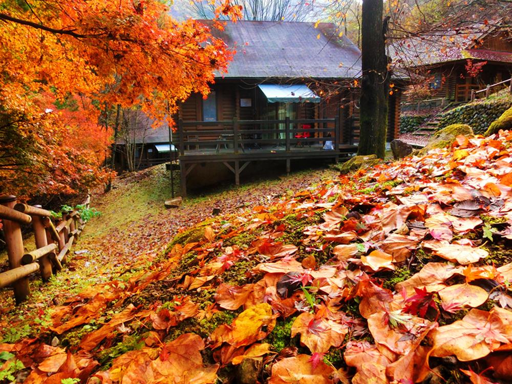 紅葉が綺麗なコテージ