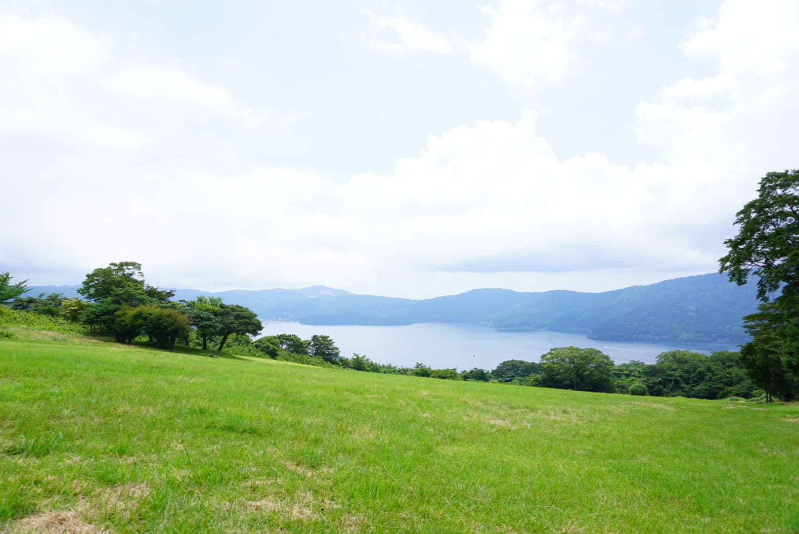 愛犬と広場で思いっきり走り回れる箱根園芦ノ湖パノラマパーク