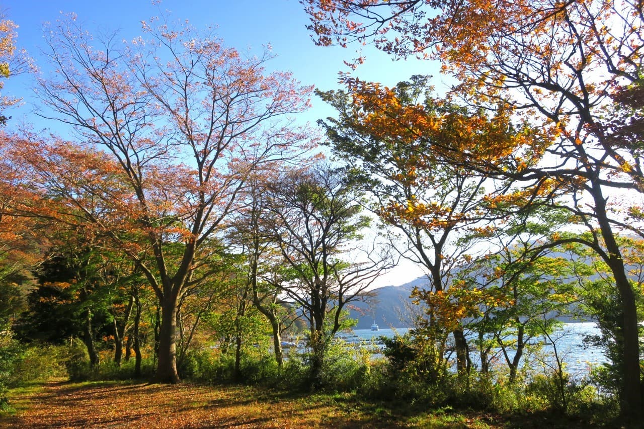 紅葉の箱根強羅