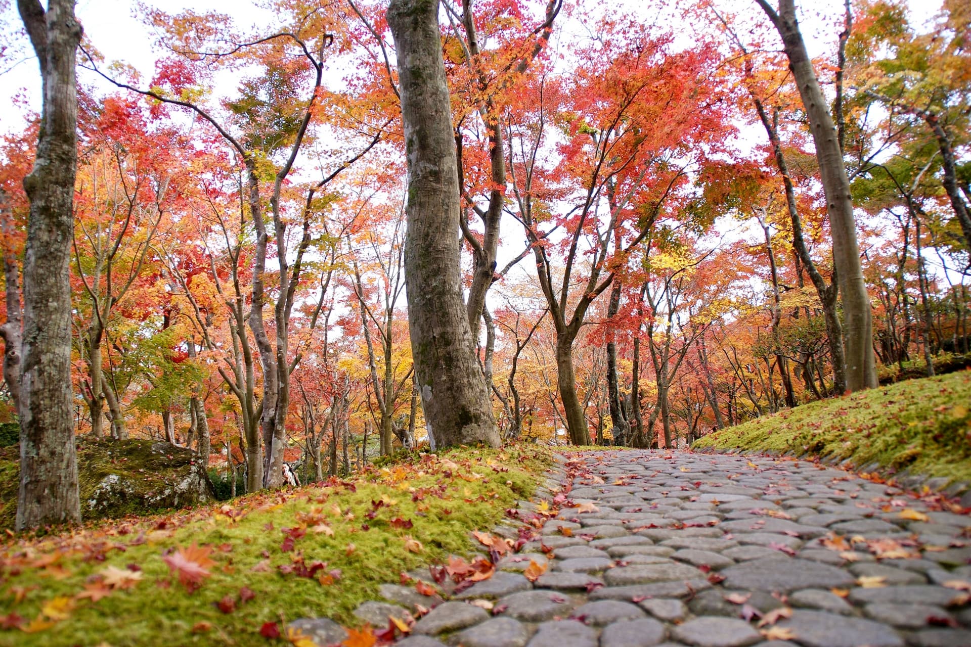 箱根美術館