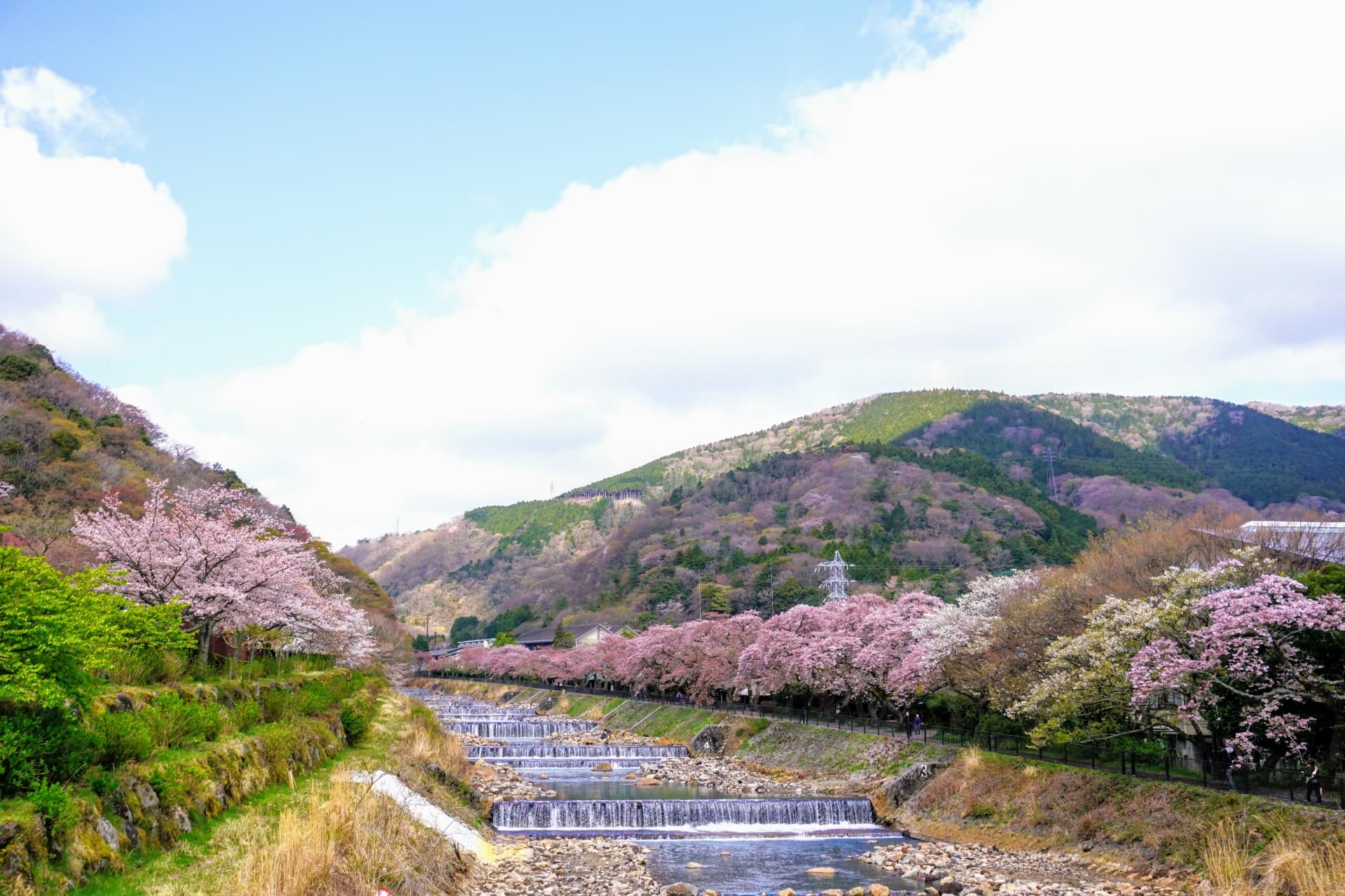 宮城野早川堤