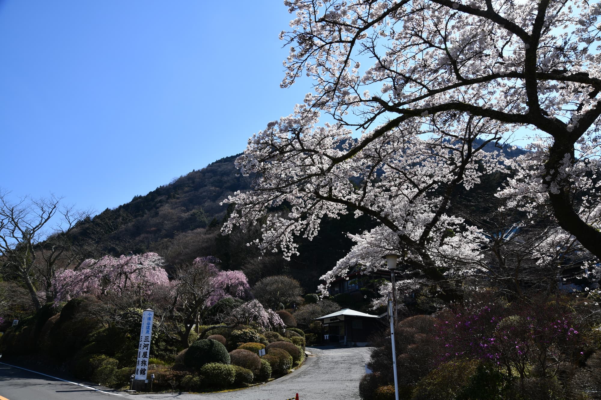 箱根小涌園　蓬莱園