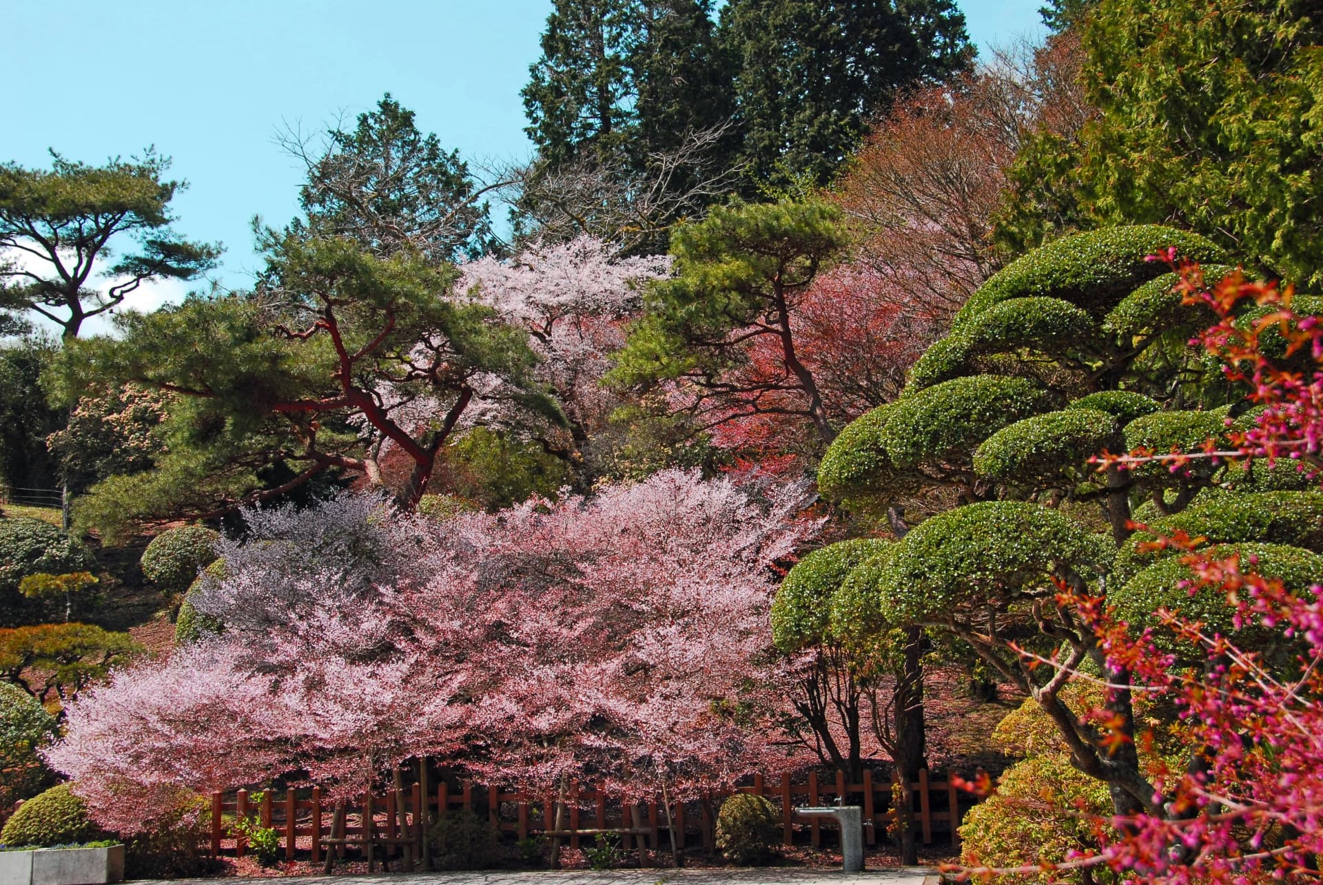 恩賜箱根公園