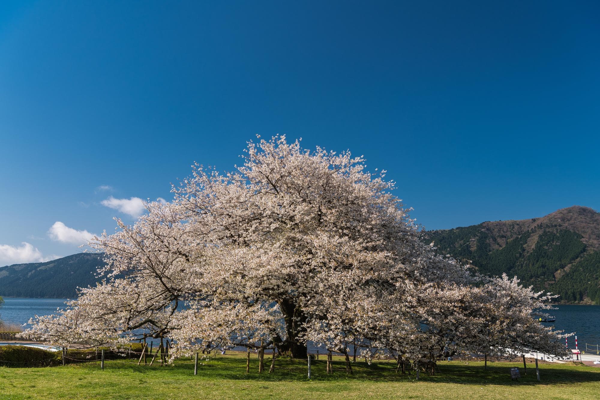 箱根園