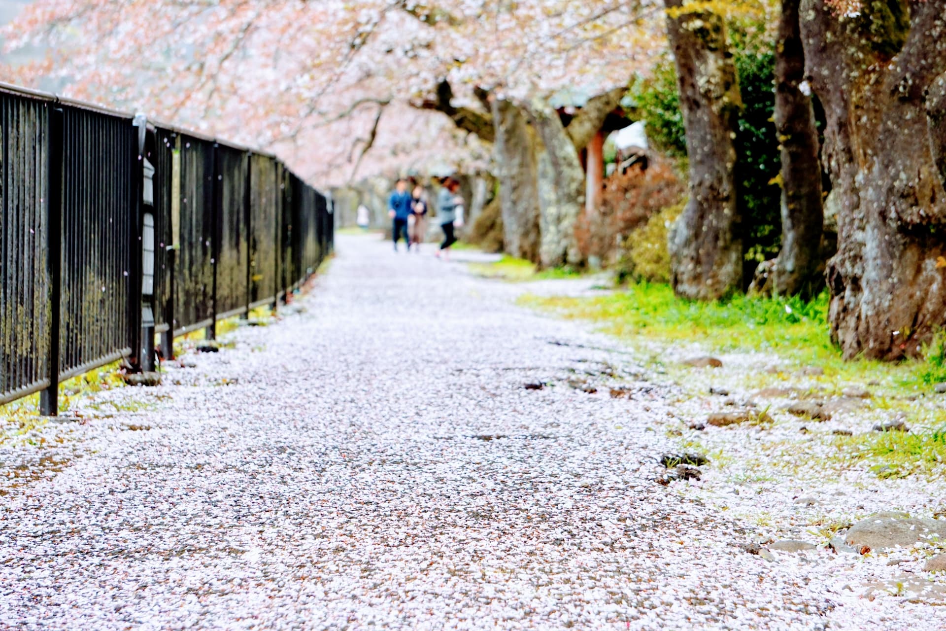 春の箱根