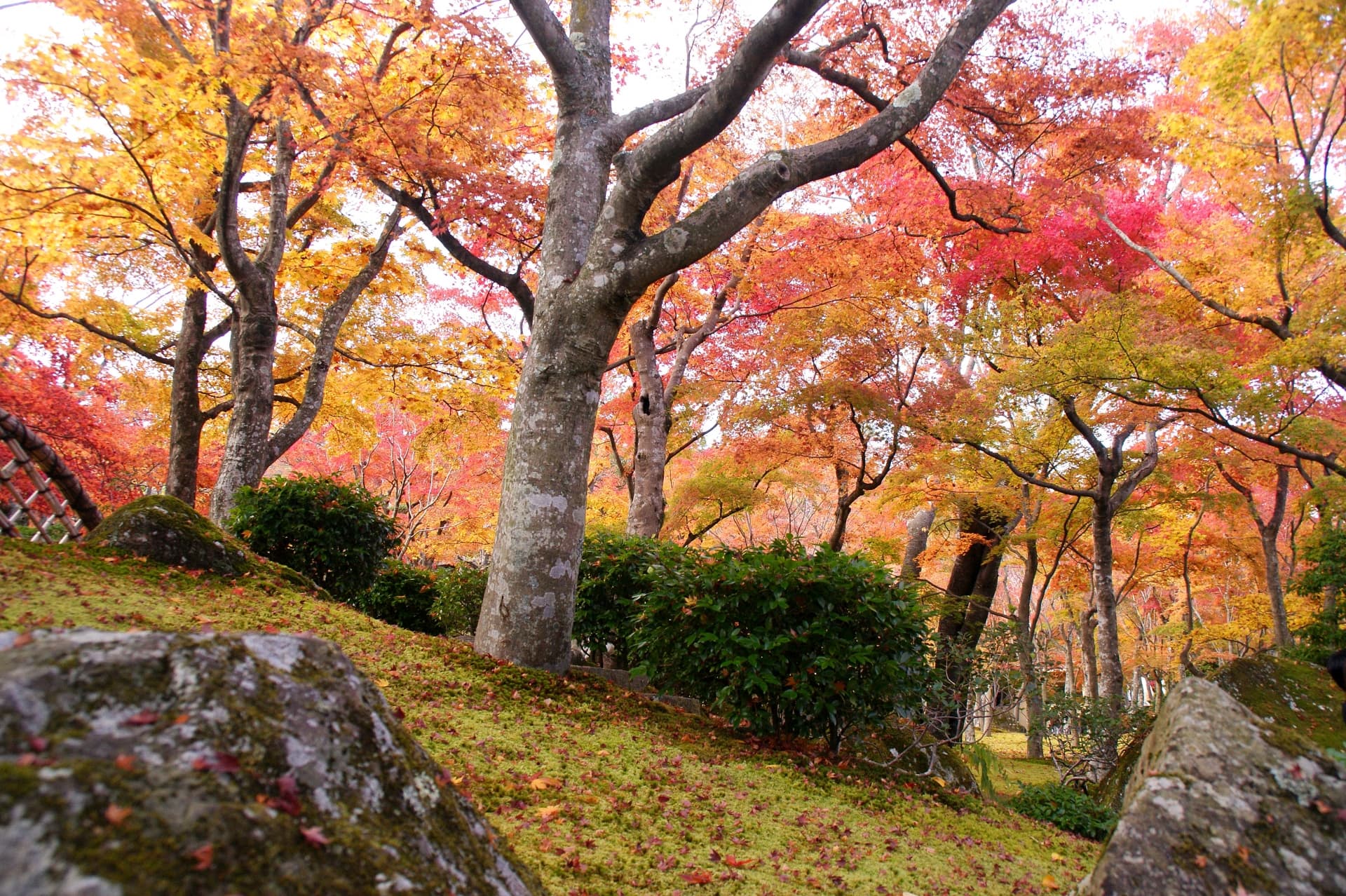 箱根美術館