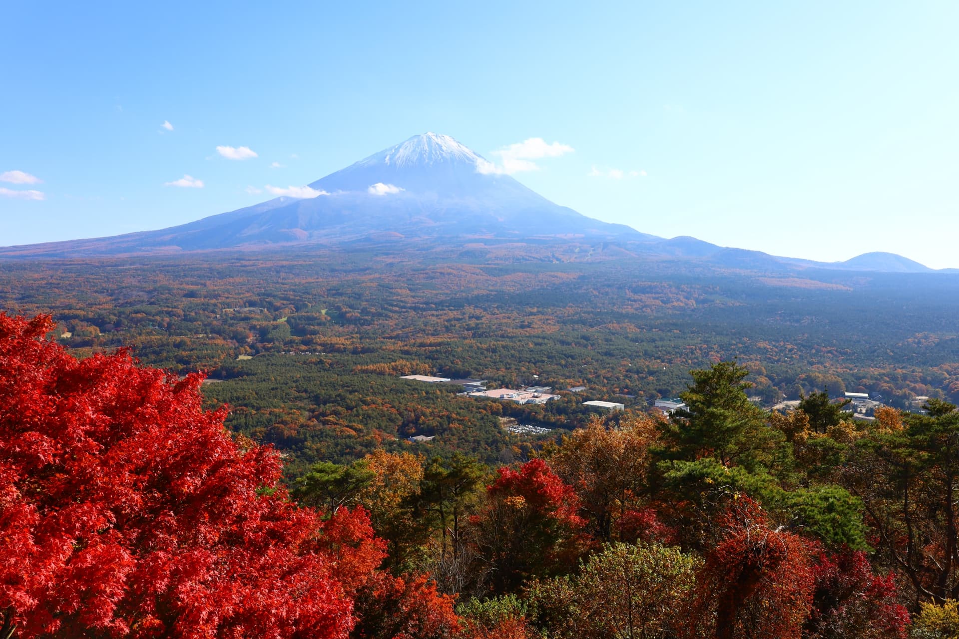 紅葉の富士山