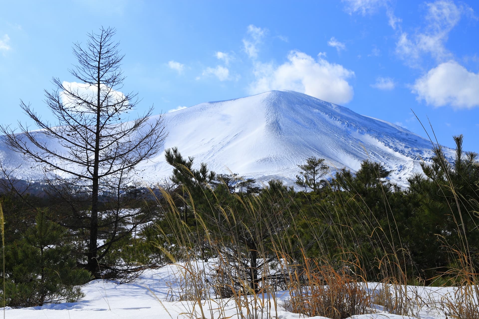 雪化粧