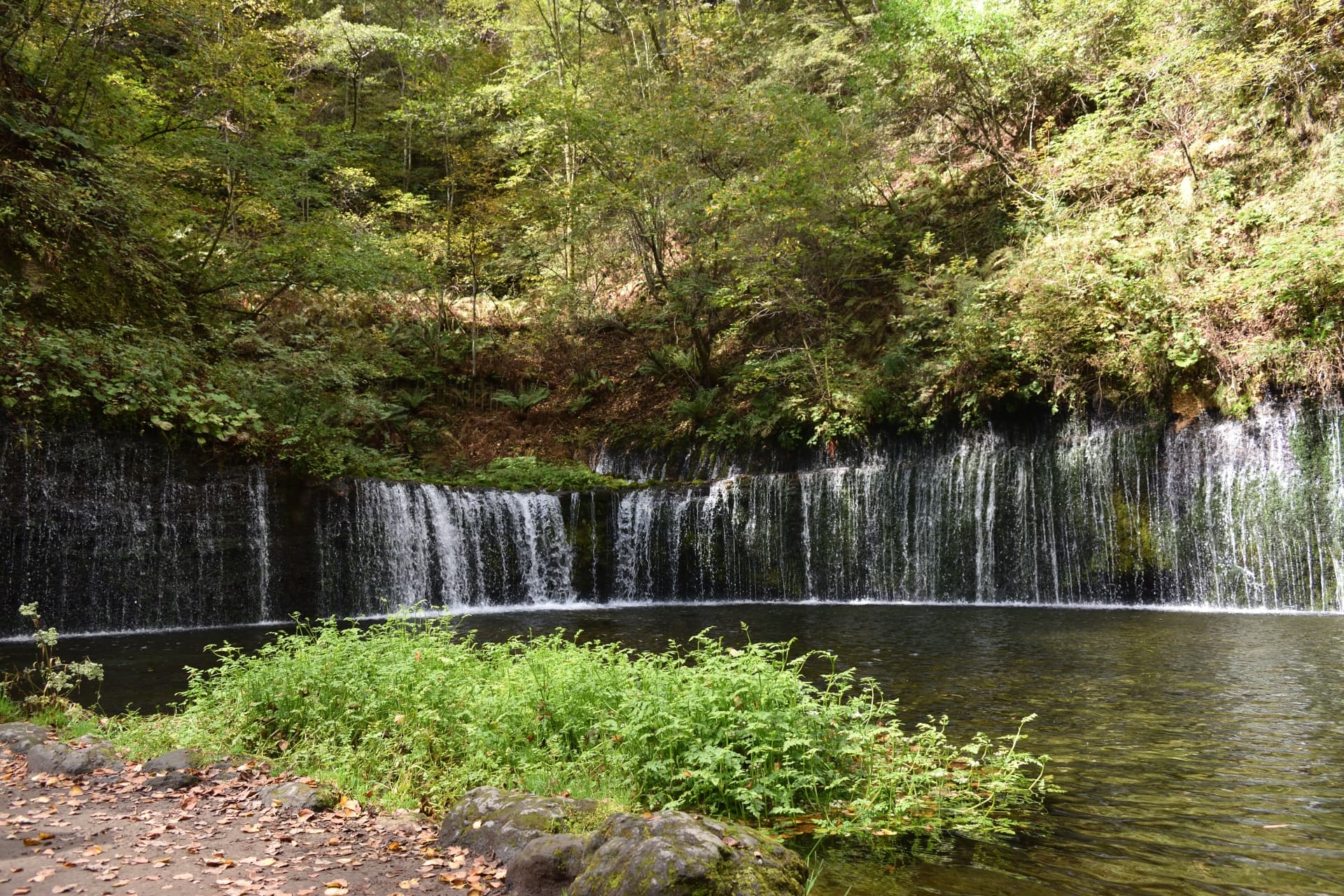 白 糸の滝