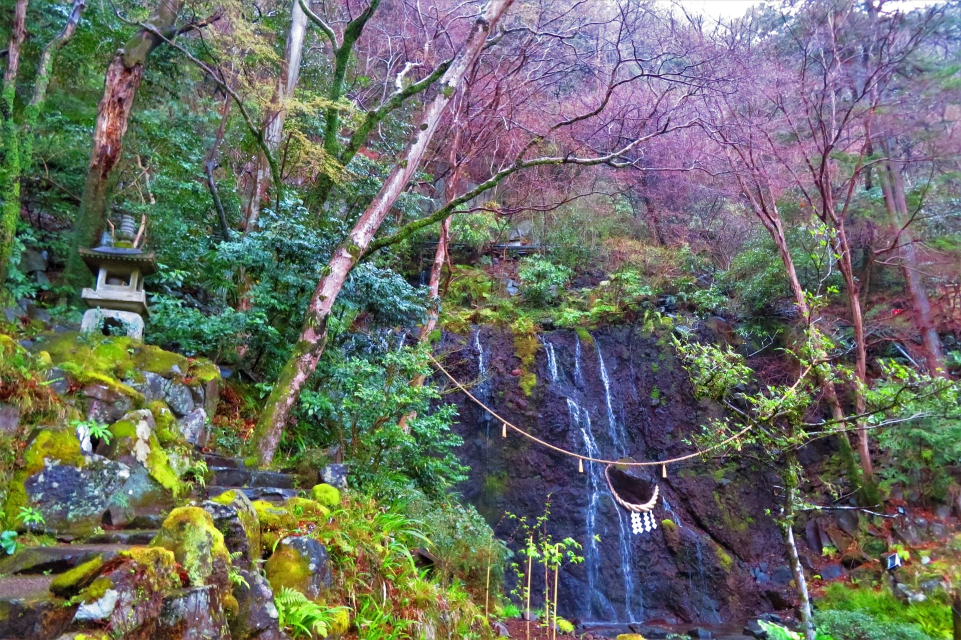 山の中にある滝