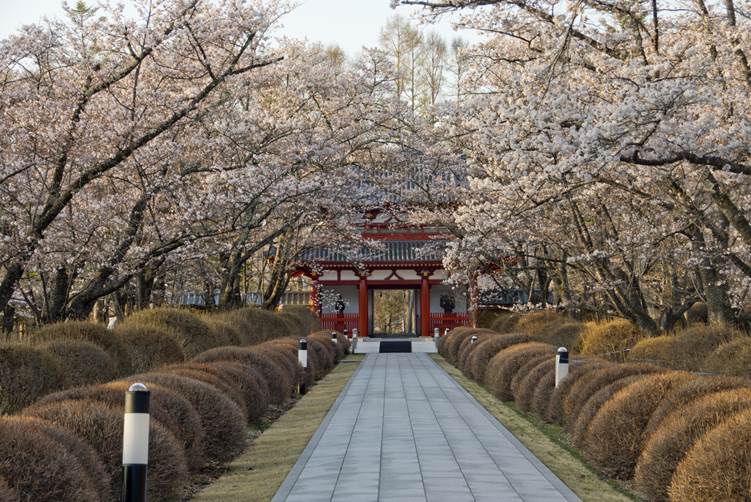 蓼科山聖光寺