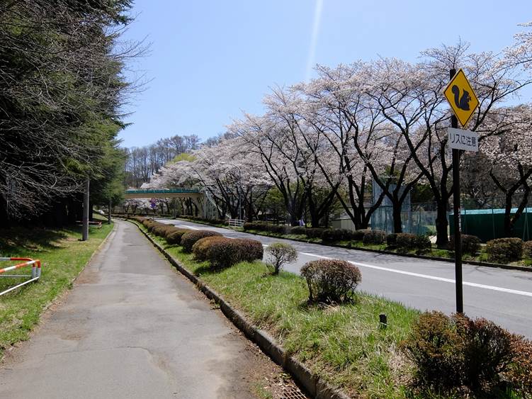 茅野市運動公園