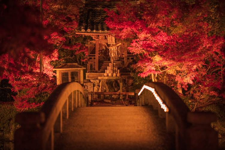 永観堂のライトアップされた紅葉