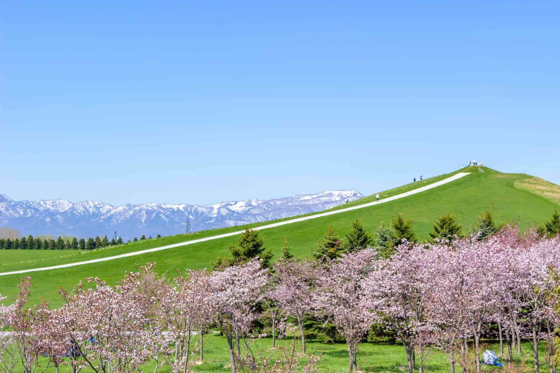 モエレ沼公園