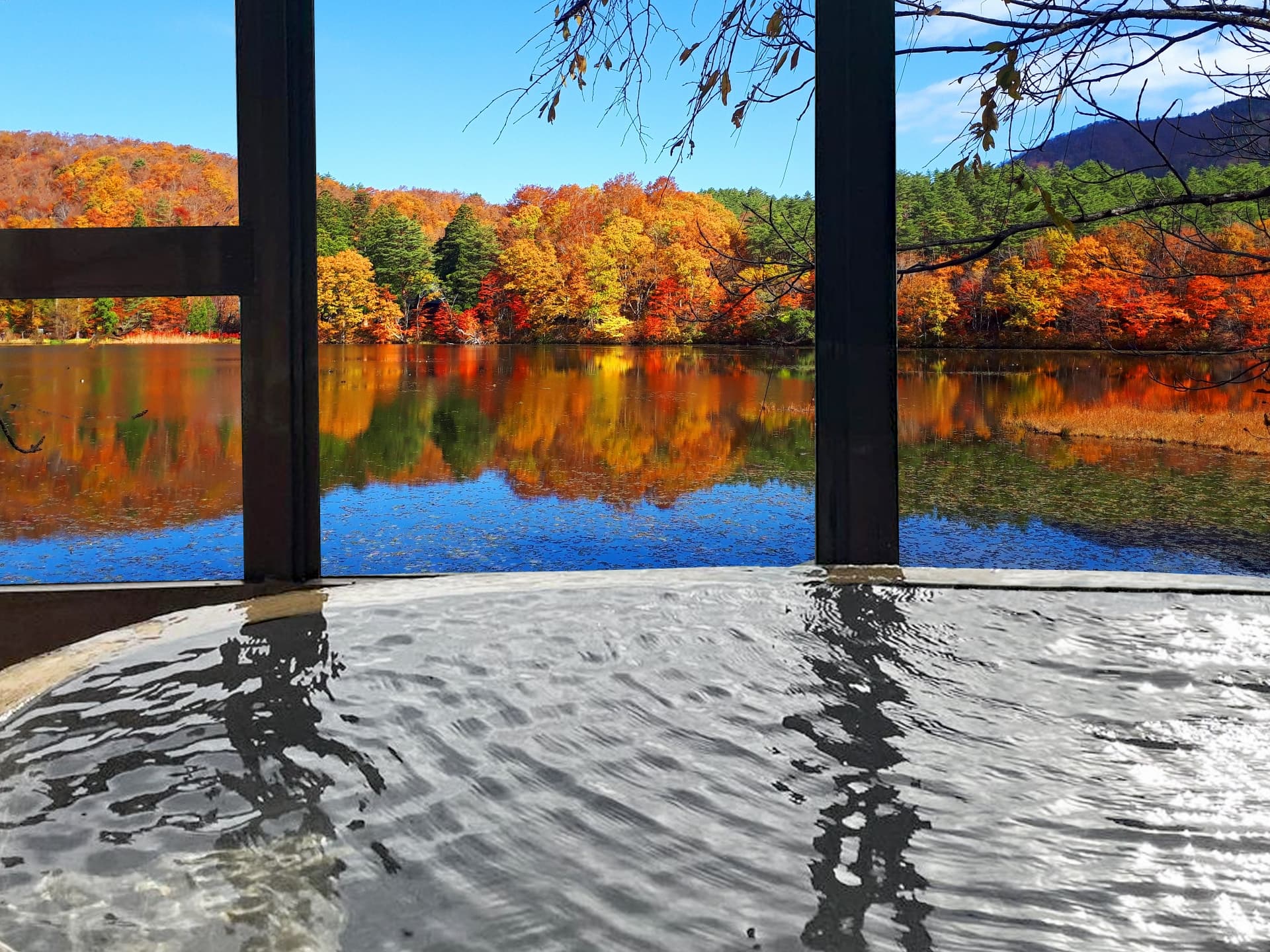 温泉から見える紅葉