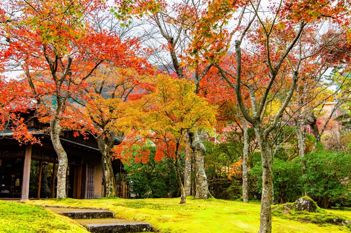 MOA美術館の日本庭園の紅葉