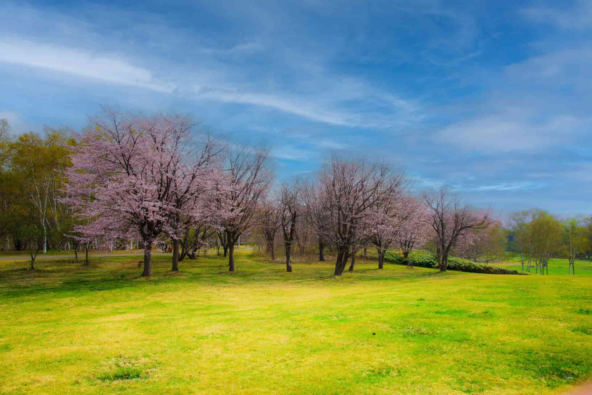 真駒内公園