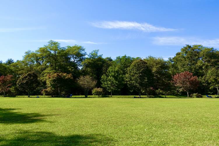 湯川ふるさと公園