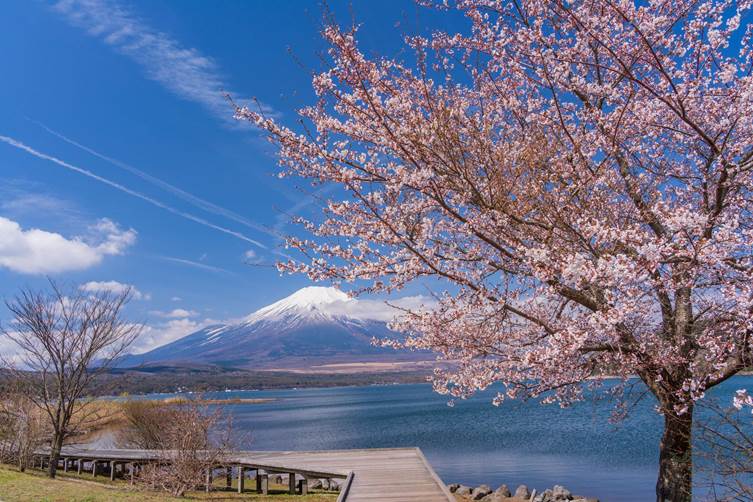 山中湖交流プラザきらら