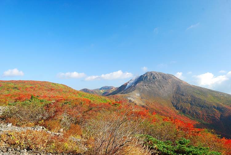 紅葉と山