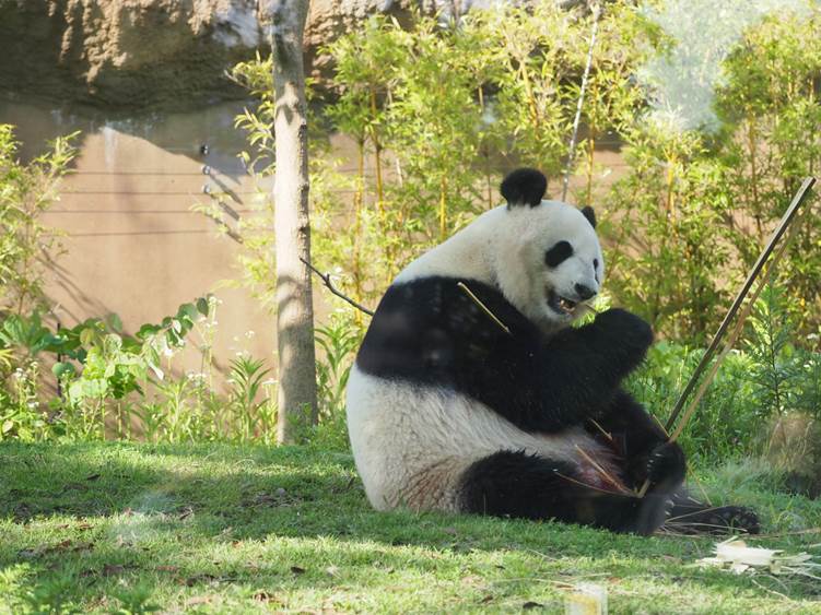 上野動物園