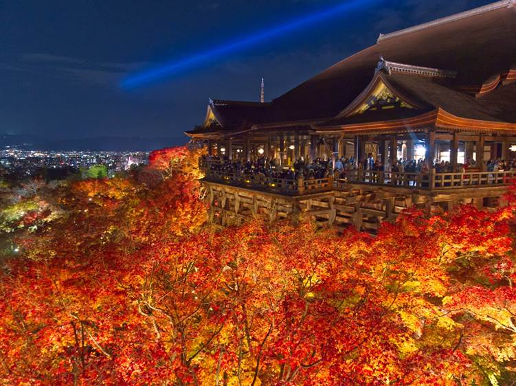 清水寺のライトアップされた紅葉