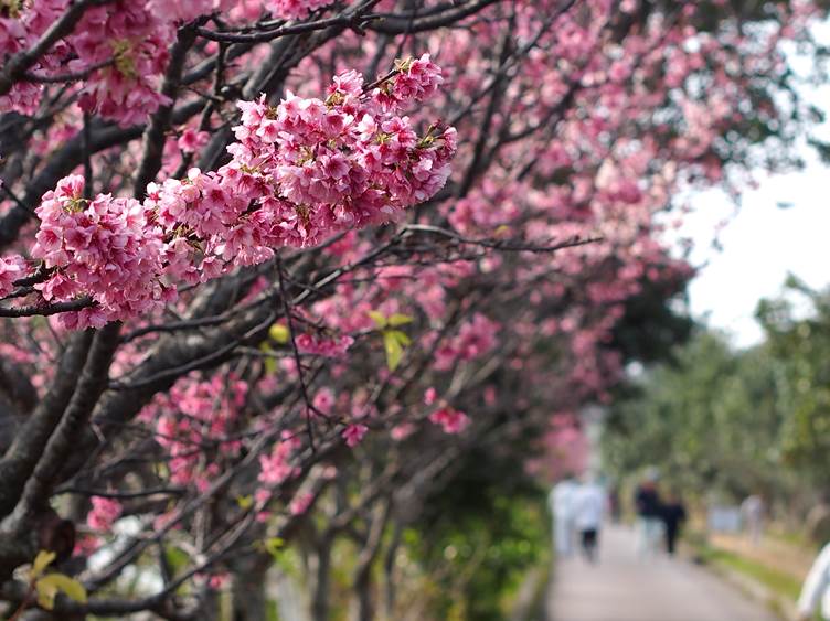 漫湖公園