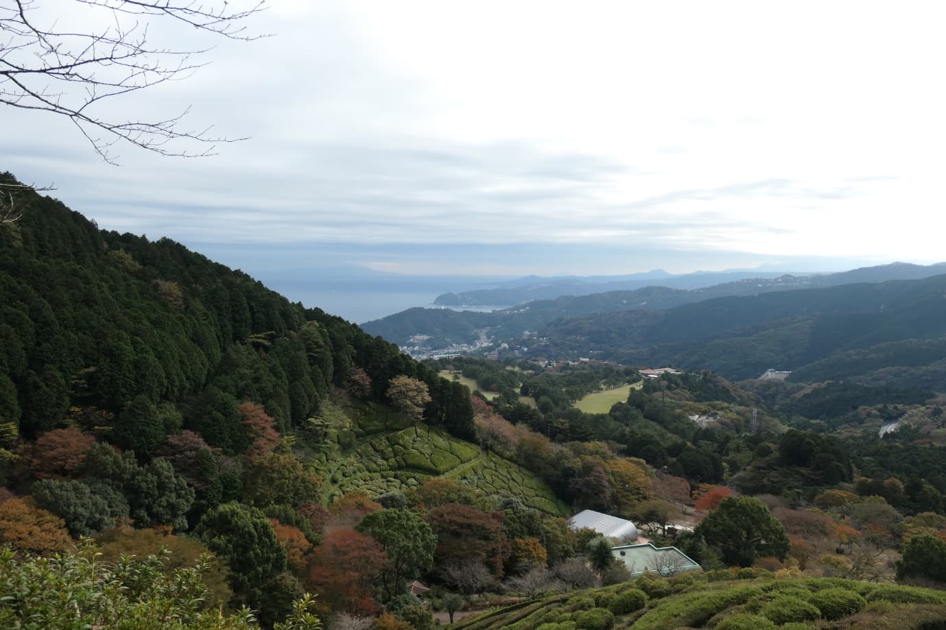 姫の沢公園からの景色