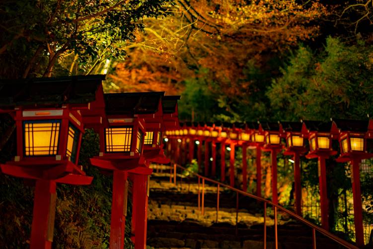 貴船神社のライトアップされた紅葉