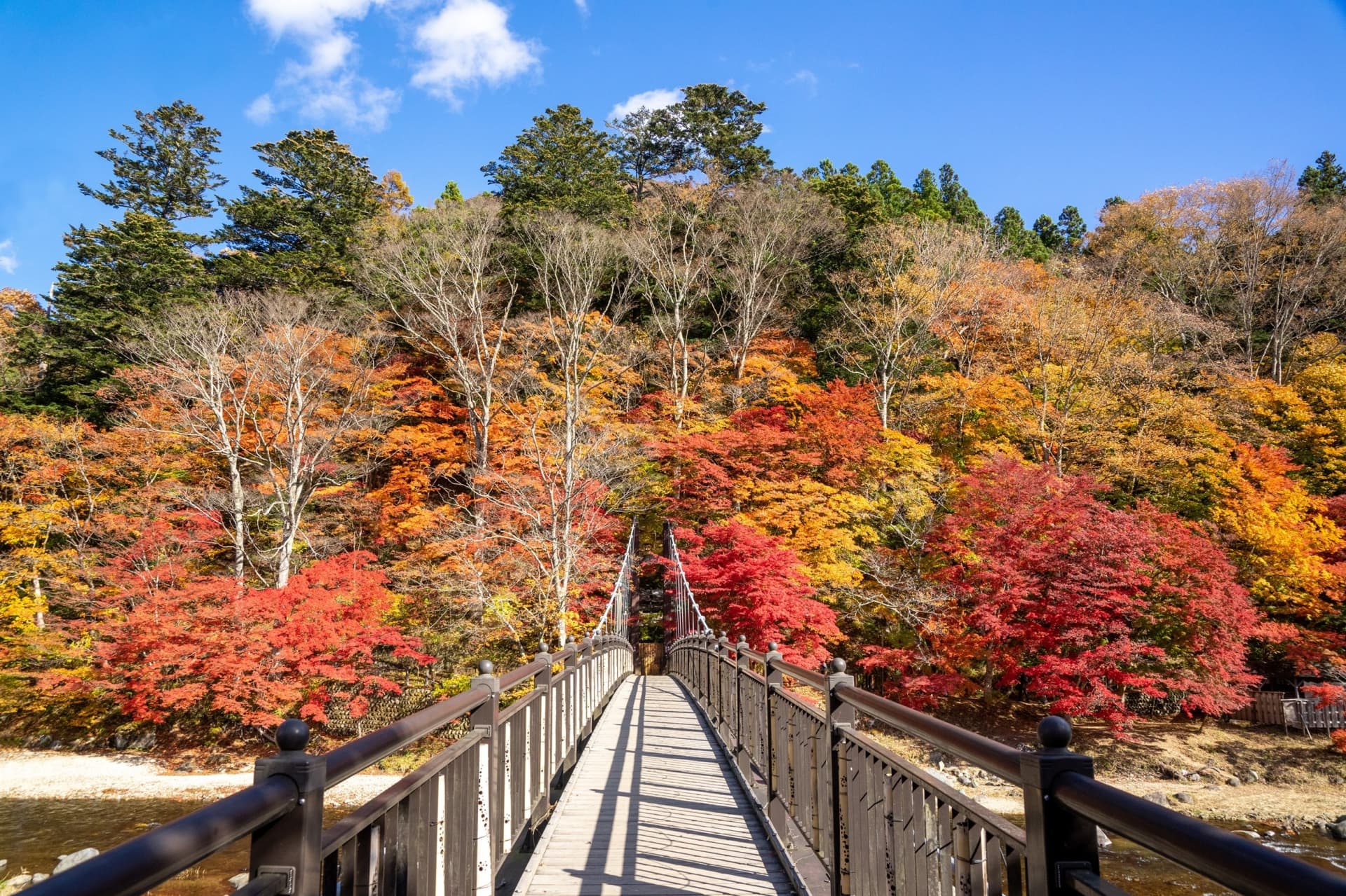 紅葉と川にかかる橋