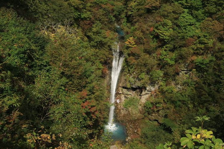 那須平成の森