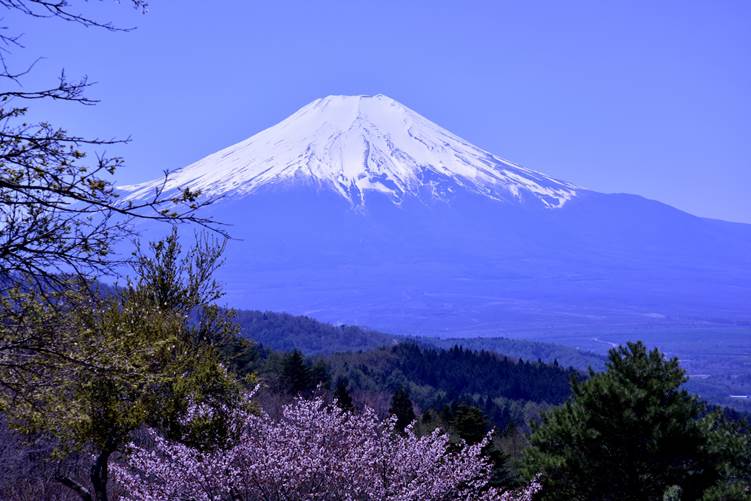 富士山