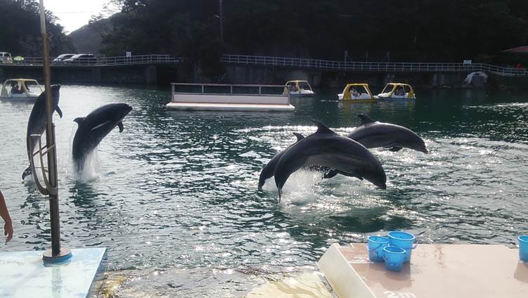 下田海中水族館