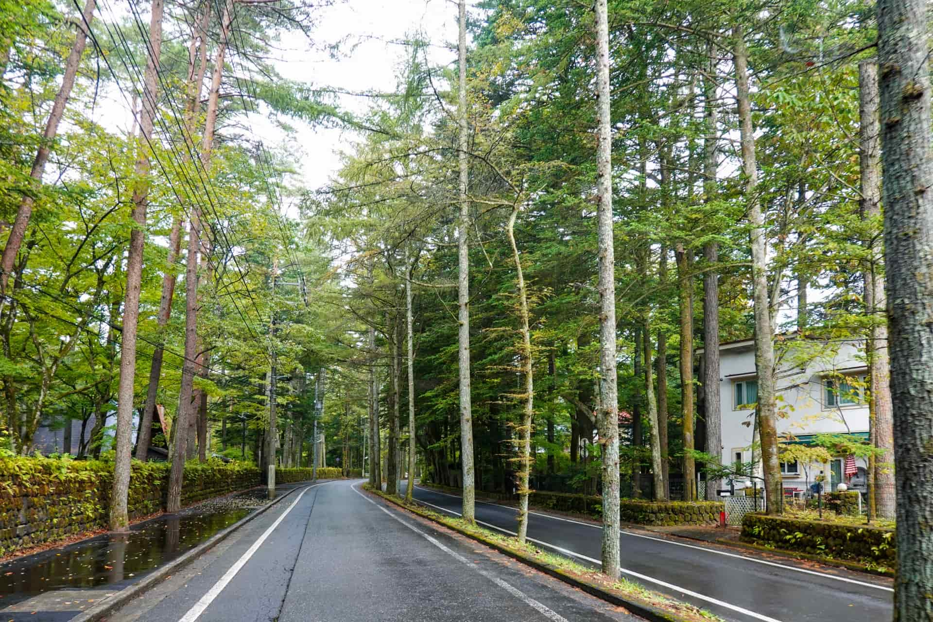 別荘地の道路