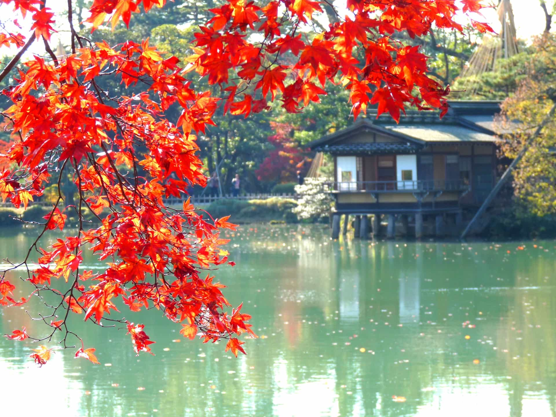 兼六園の紅葉