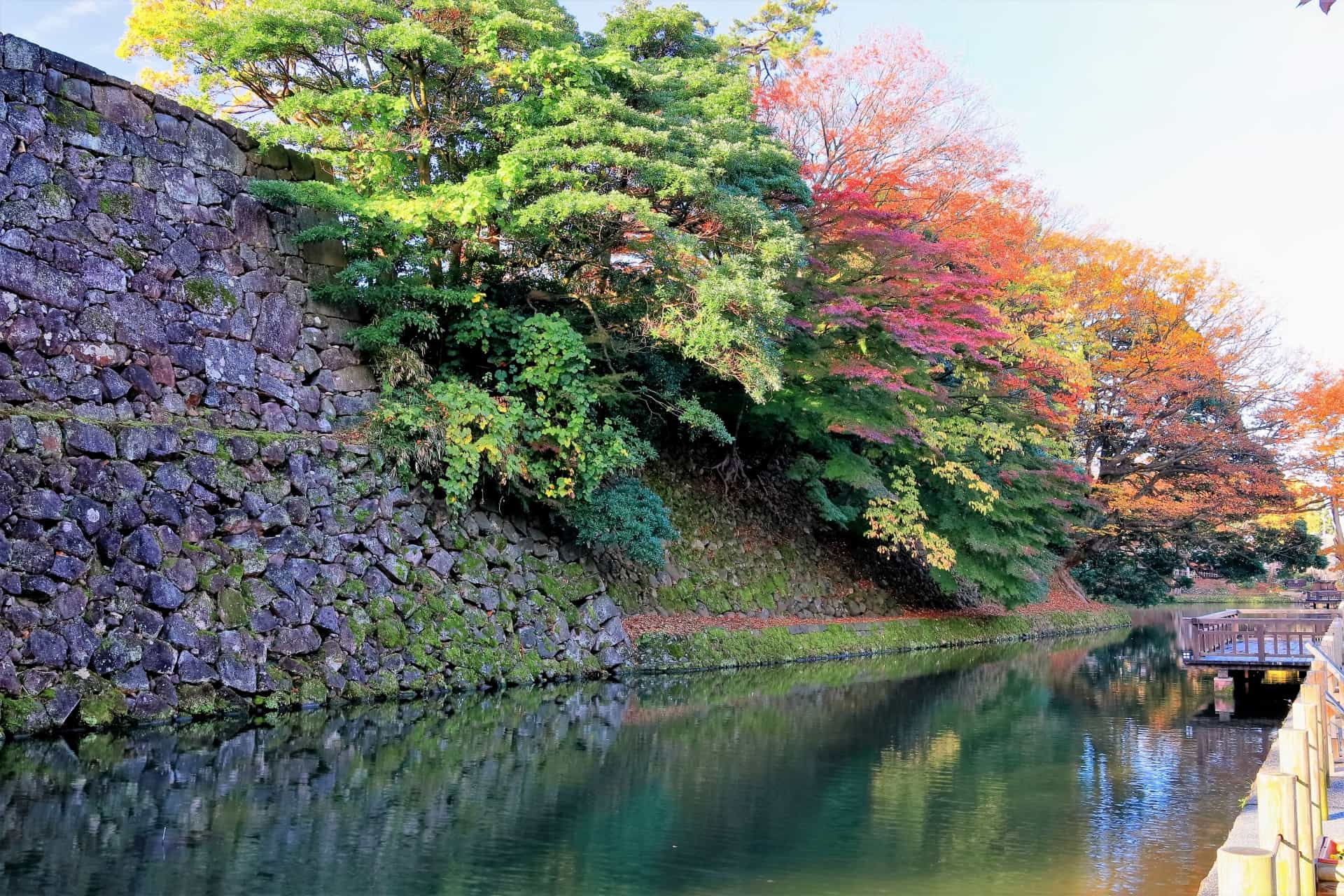 金沢城公園の紅葉