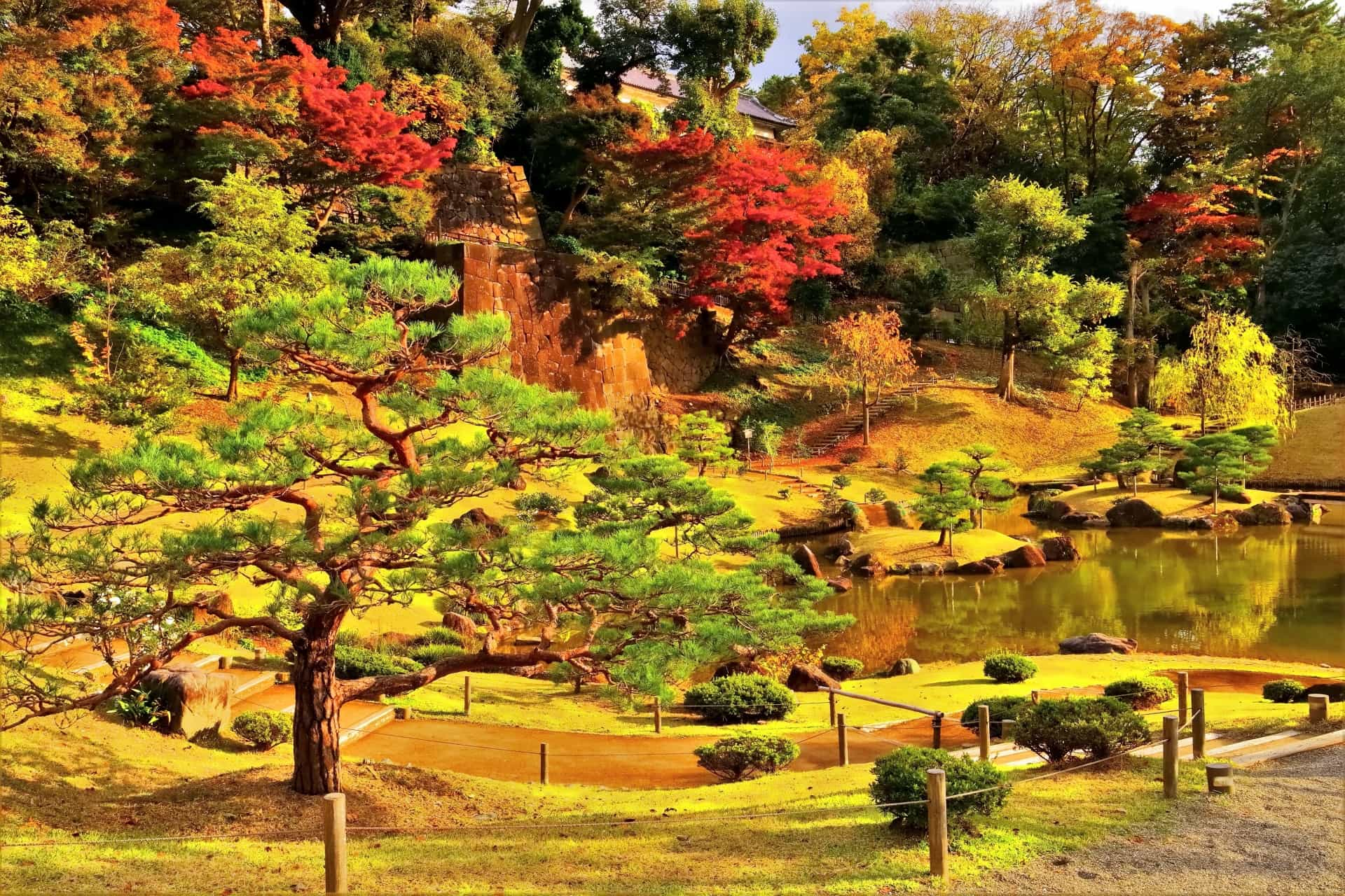 玉泉院丸庭園の紅葉