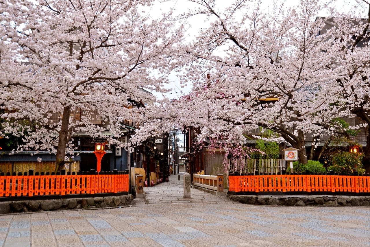 春の京都