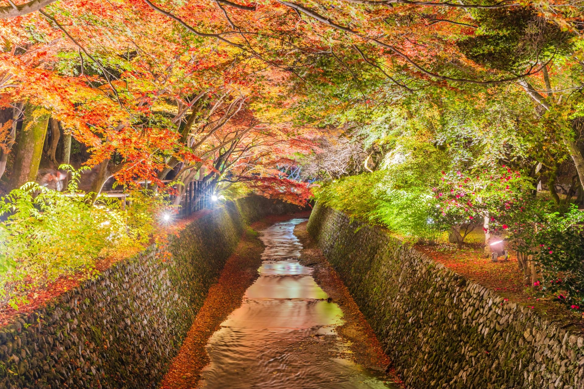 秋の京都