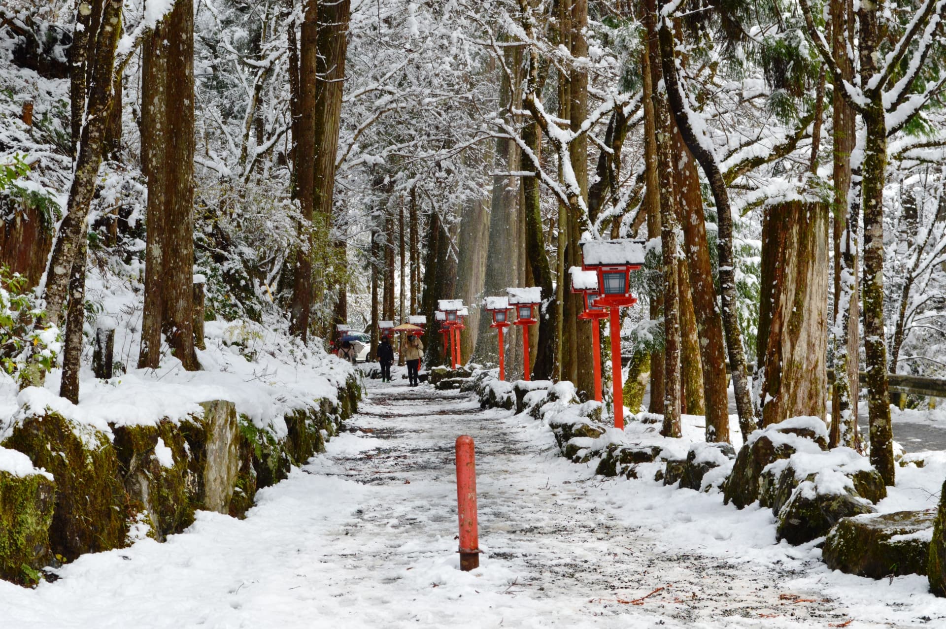 冬の京都