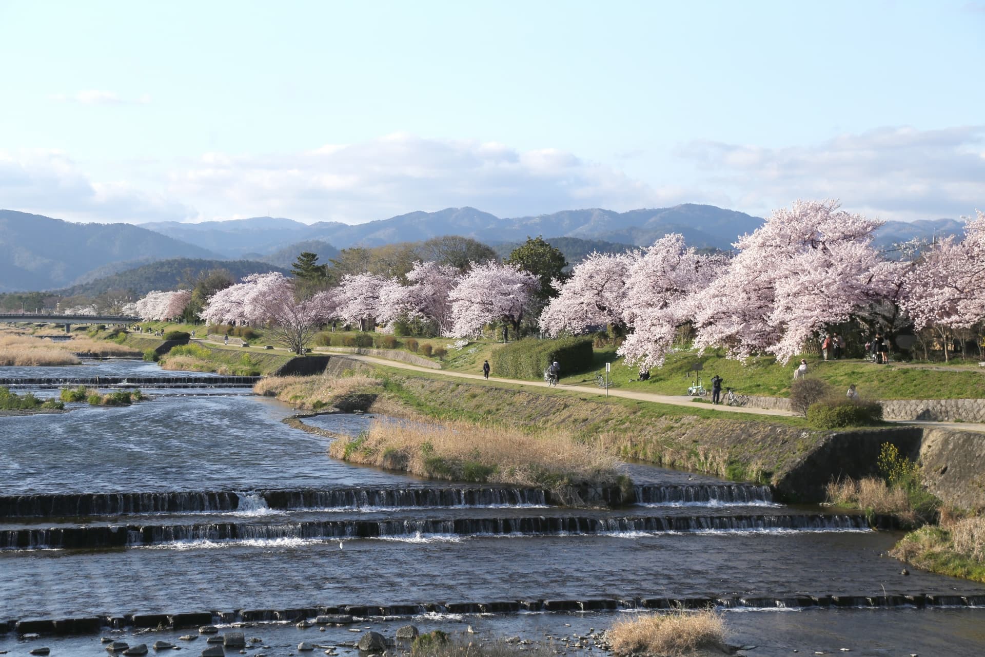 鴨川河川敷