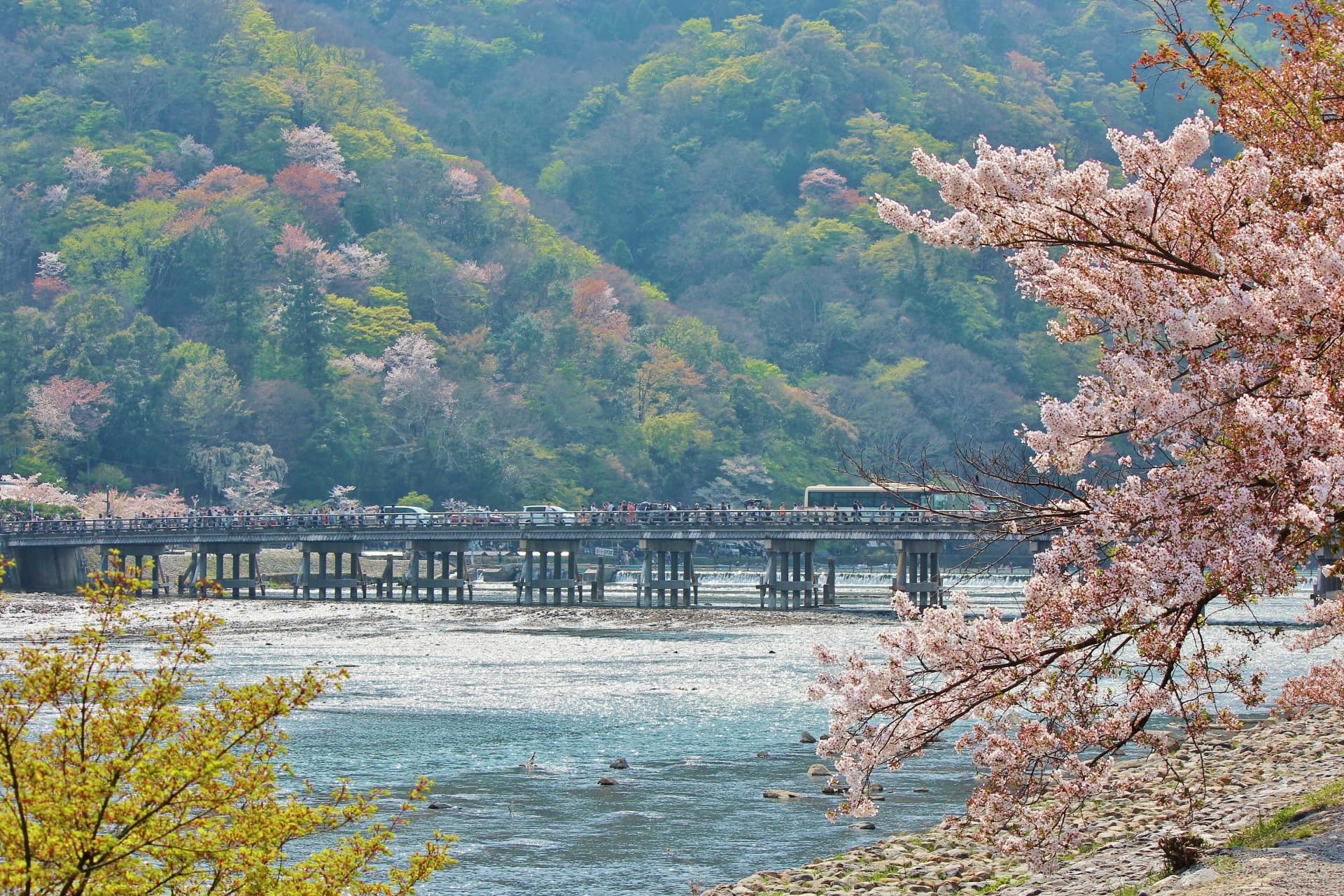 渡月橋