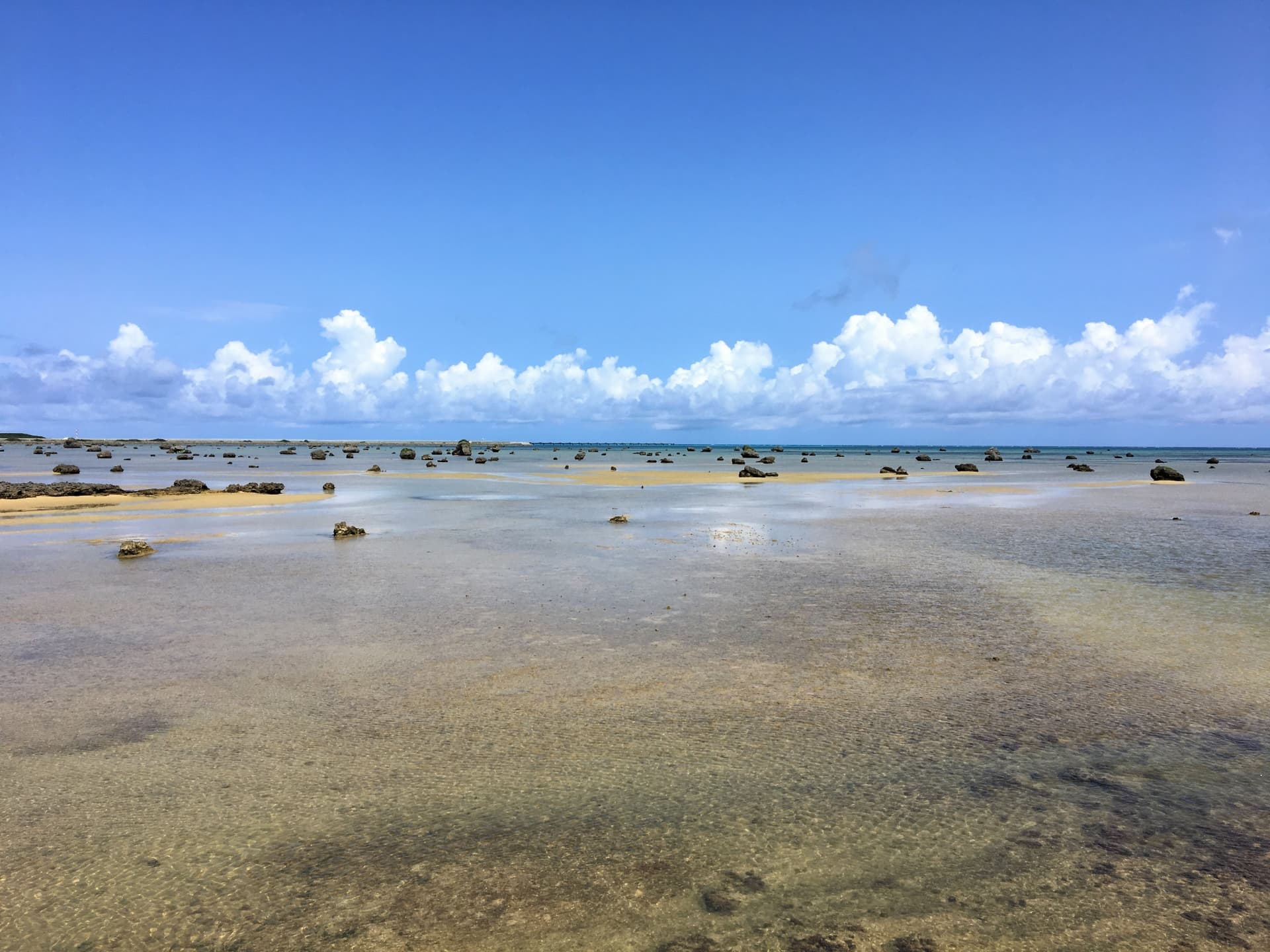 佐和田の浜