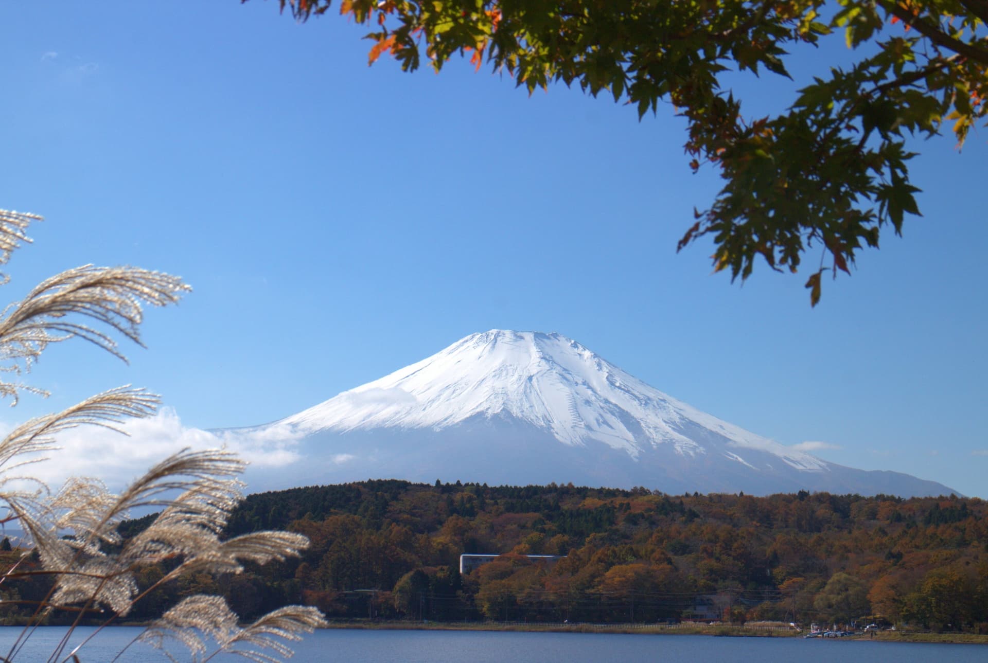 本栖湖