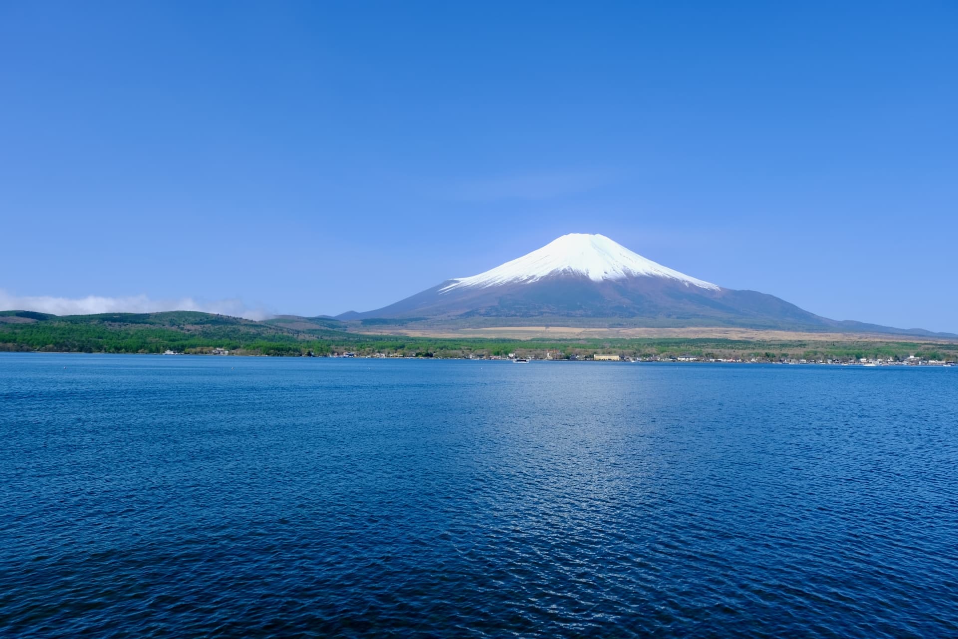 長池親水公園と富士山